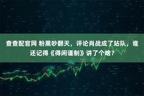 查查配官网 粉黑吵翻天，评论肖战成了站队，谁还记得《得闲谨制》讲了个啥？