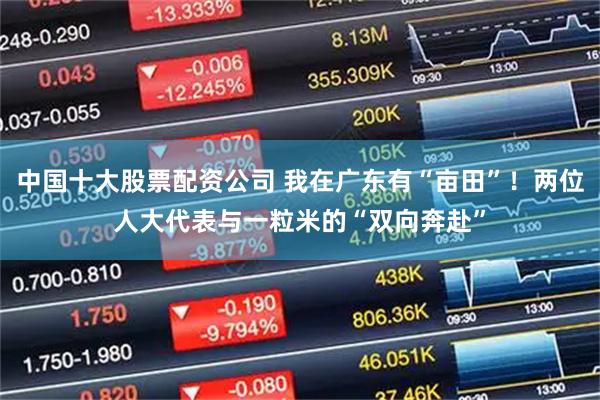 中国十大股票配资公司 我在广东有“亩田”！两位人大代表与一粒米的“双向奔赴”