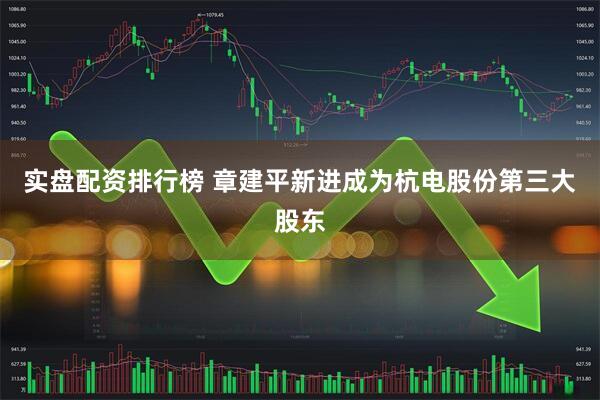 实盘配资排行榜 章建平新进成为杭电股份第三大股东